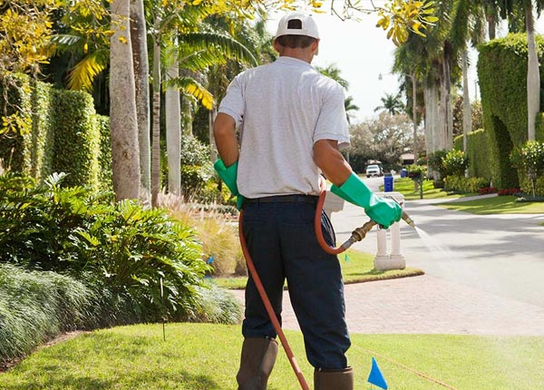 About Inman SC Pest Control Pros